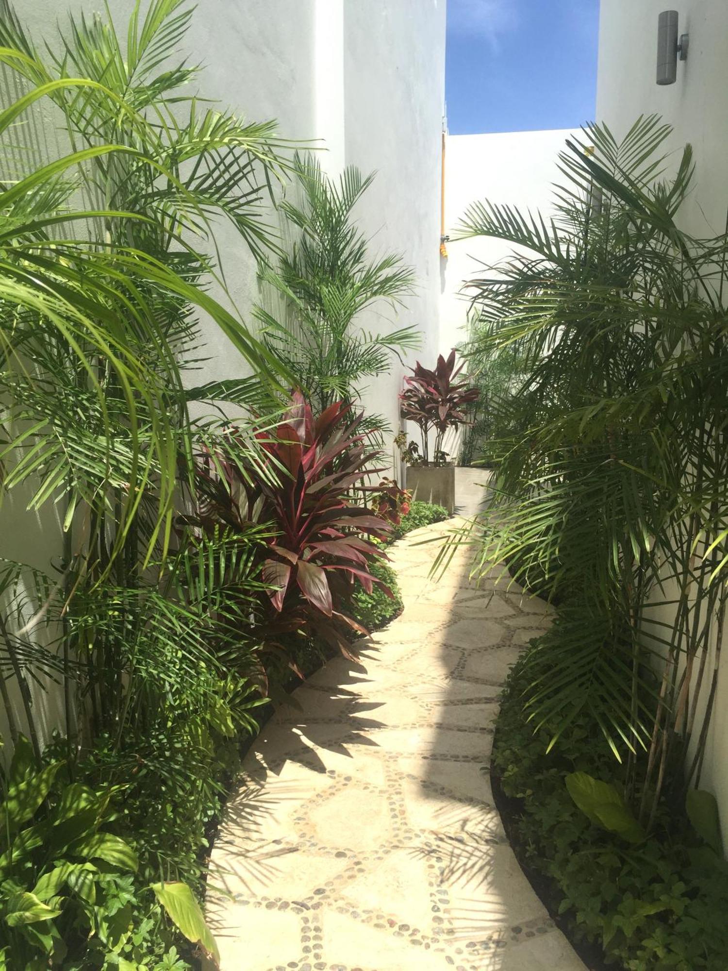 Hotel Quinta Santa Anita à Playa del Carmen Extérieur photo