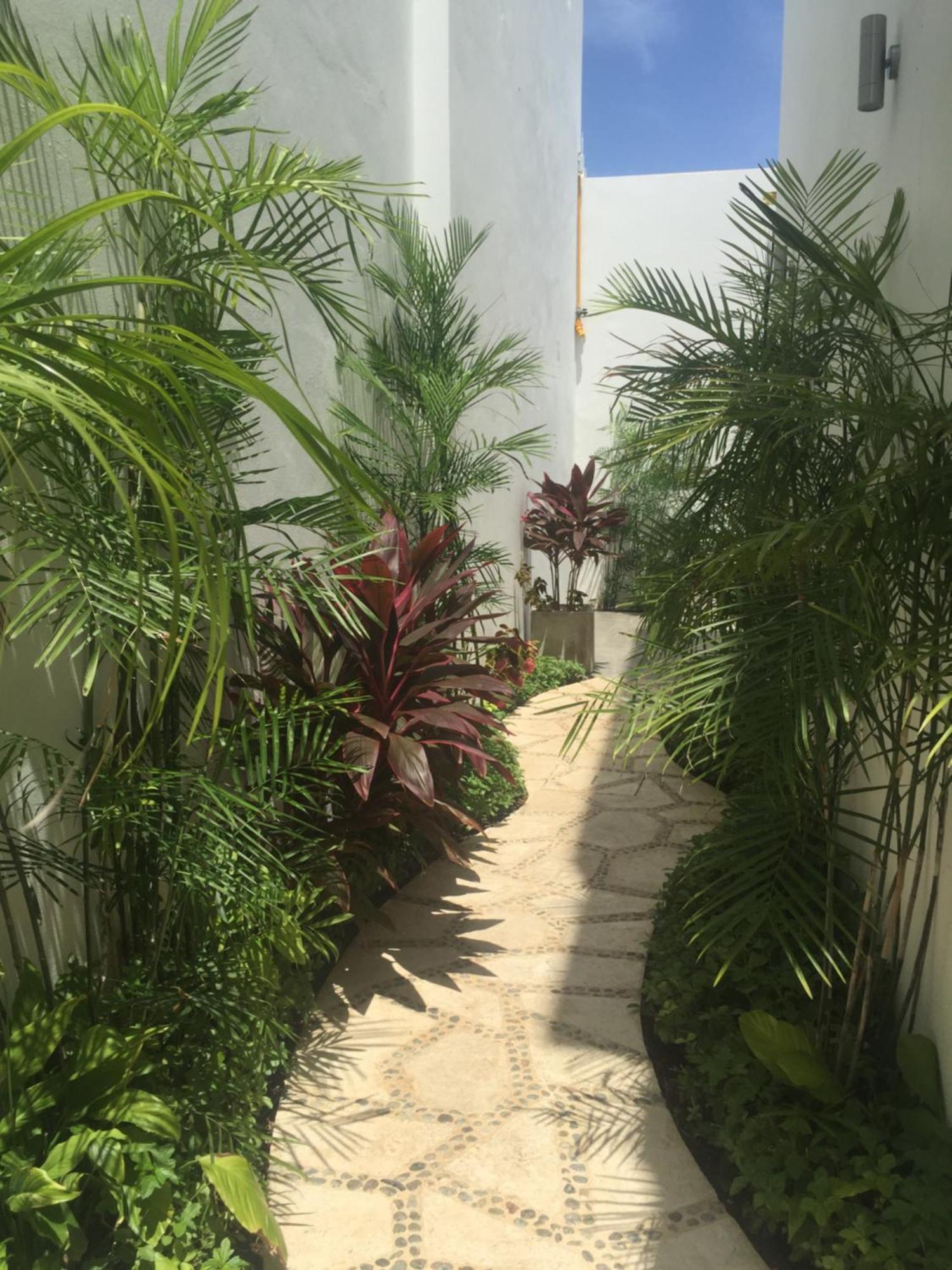 Hotel Quinta Santa Anita à Playa del Carmen Extérieur photo